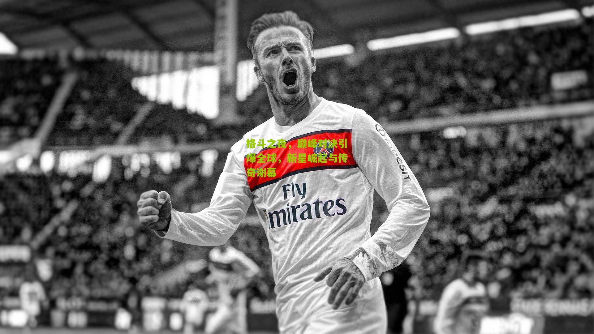 格斗之夜,巅峰对决引爆全球,新星崛起与传奇谢幕