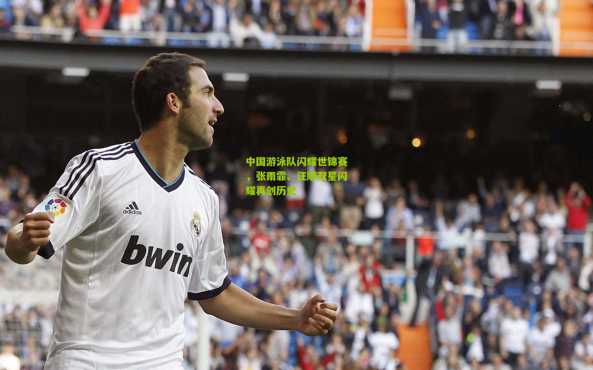 中国游泳队闪耀世锦赛,张雨霏、汪顺双星闪耀再创历史