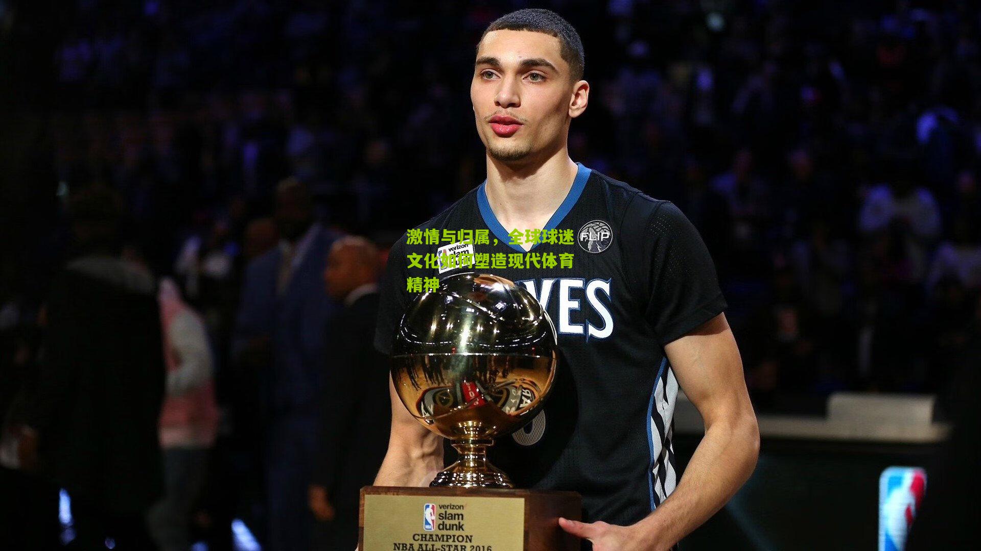 激情与归属,全球球迷文化如何塑造现代体育精神