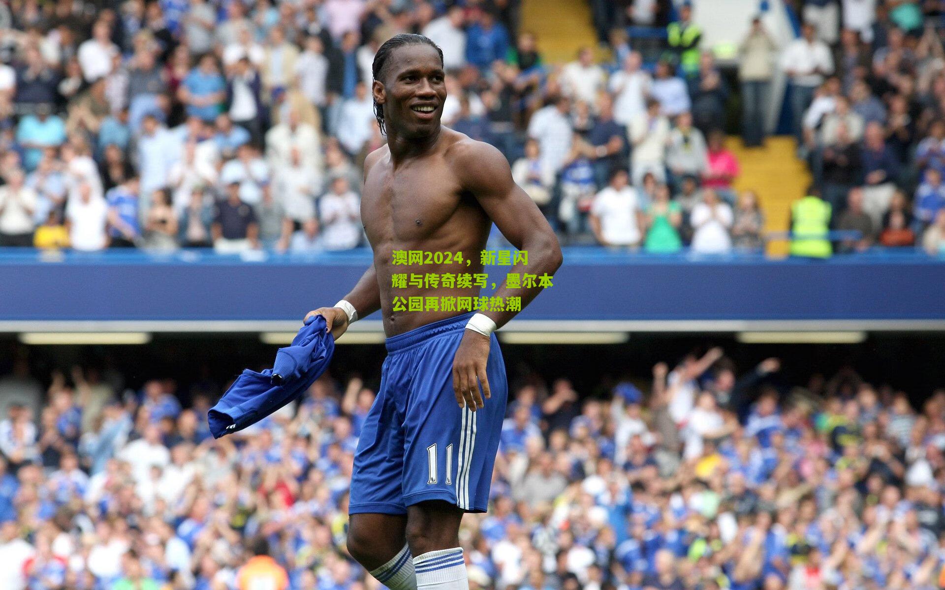 澳网2024,新星闪耀与传奇续写,墨尔本公园再掀网球热潮